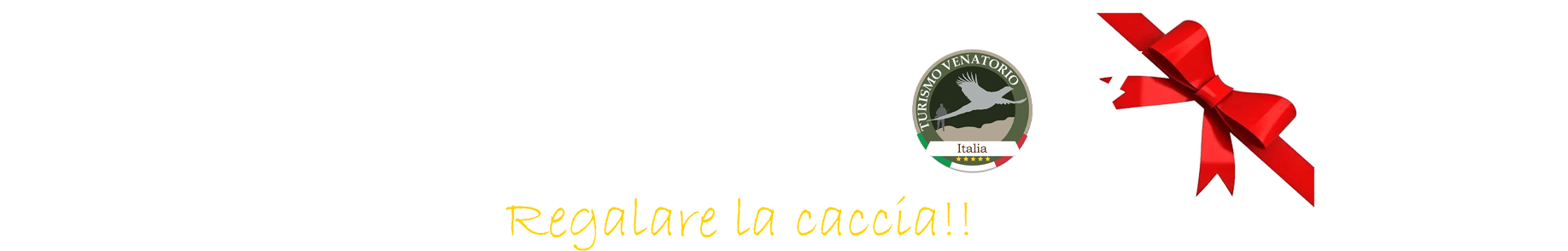 cacciabox regala la caccia