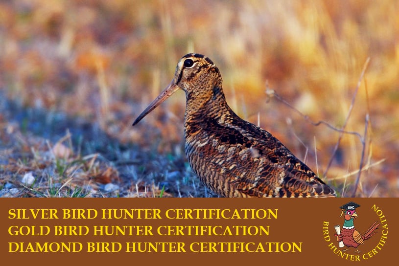 Birds Hunter Certification caccia a fagiano, pernice rossa, starna, pernice sarda, quaglia selvatica, coturnice beccaccia