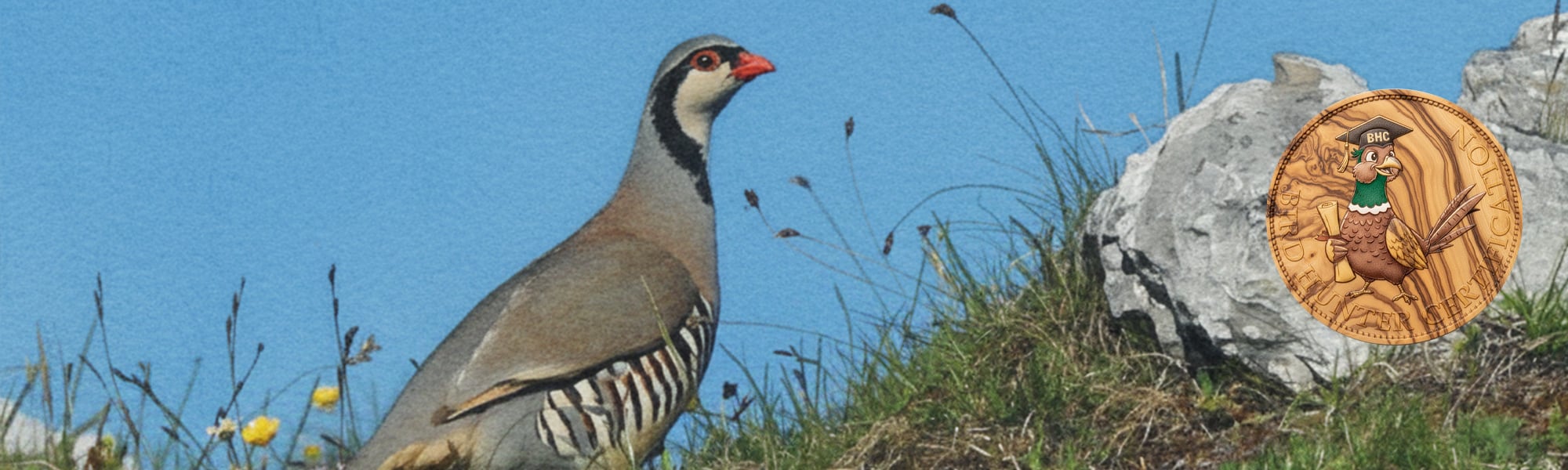 Bird Hunter Certification caccia a fagiano, pernice rossa, starna, pernice sarda, quaglia selvatica