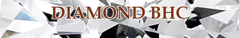 Diamond Bird Hunter Certification