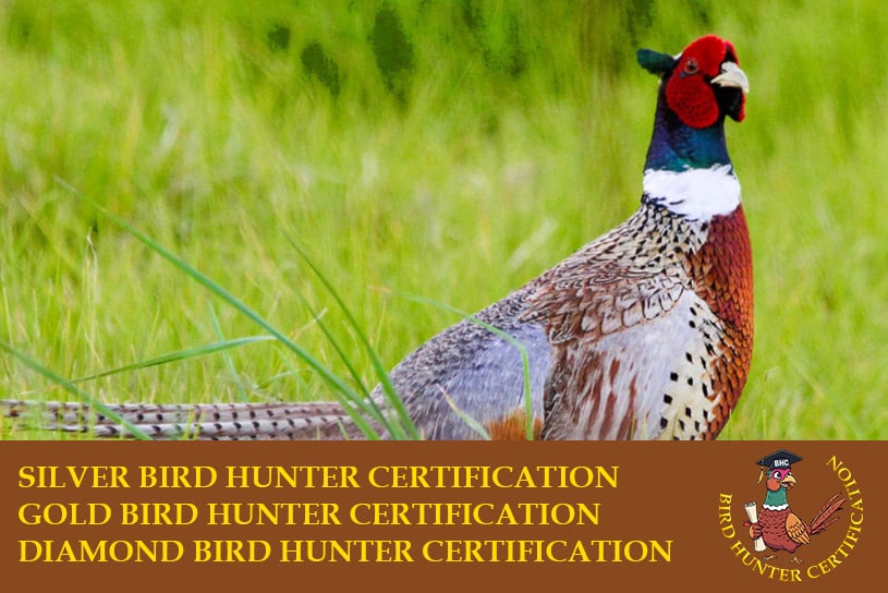 Birds Hunter Certification caccia a fagiano, pernice rossa, starna, pernice sarda, quaglia selvatica, coturnice beccaccia