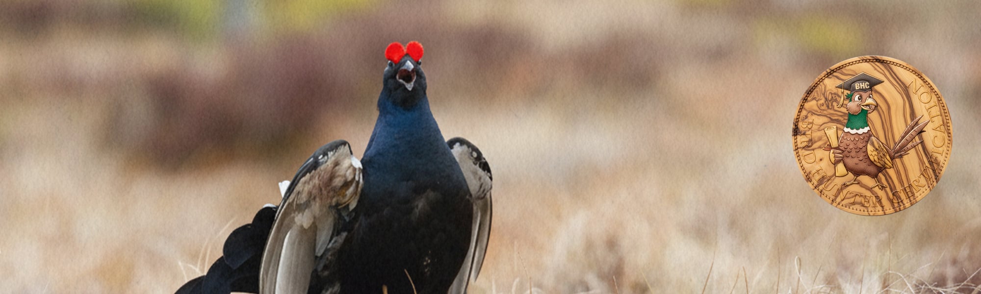 Bird Hunter Certification caccia a fagiano, pernice rossa, starna, pernice sarda, quaglia selvatica