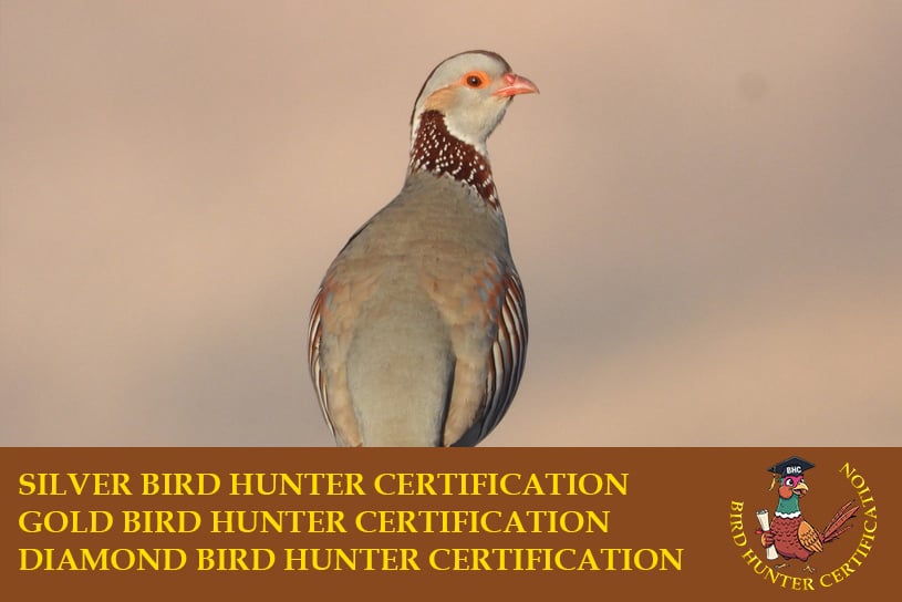 Birds Hunter Certification caccia a fagiano, pernice rossa, starna, pernice sarda, quaglia selvatica, coturnice beccaccia