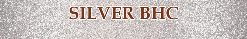 Silver Bird Hunter Certification