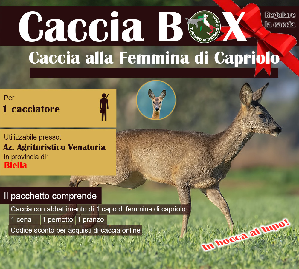 regala la caccia in Italia Biella Piemonte capriolo femmina