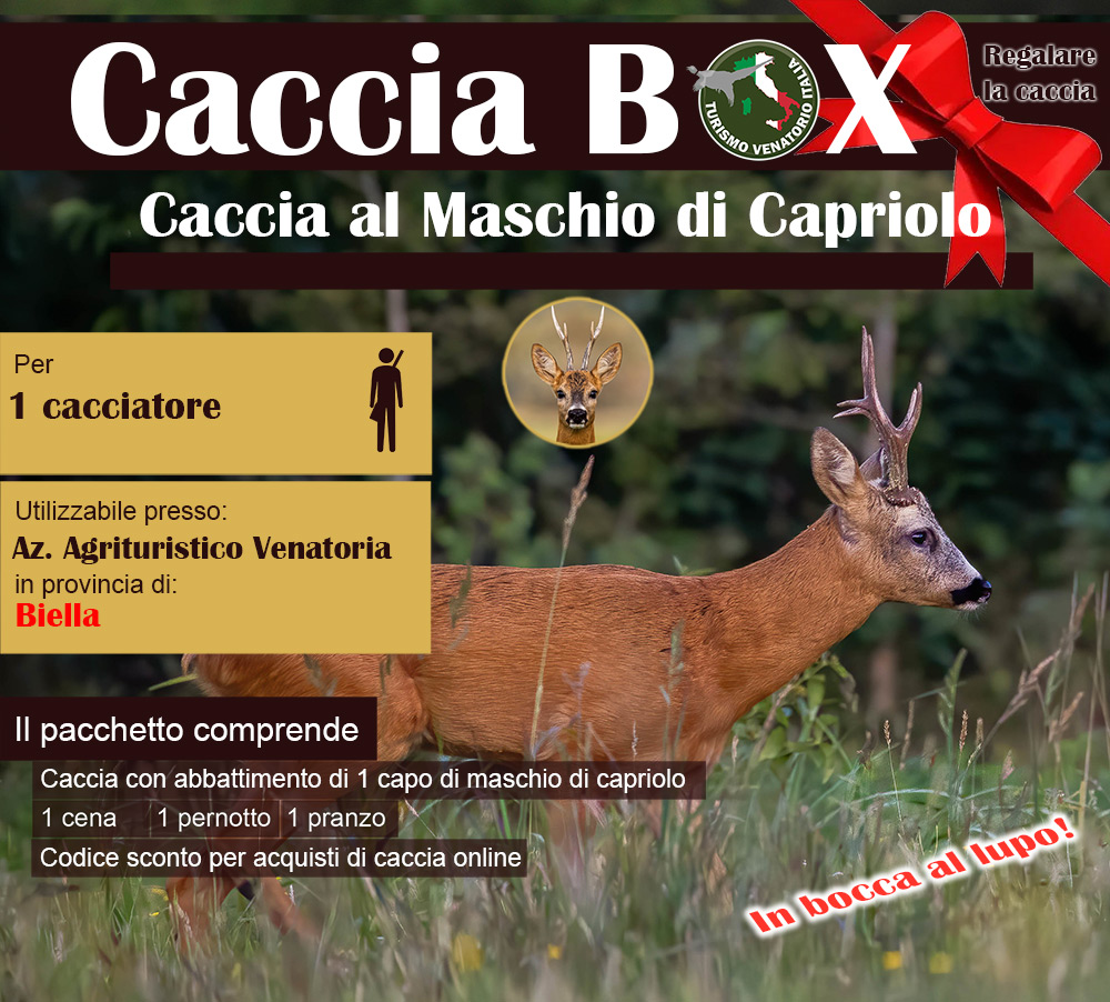 regala la caccia in Italia Biella Piemonte capriolo maschio