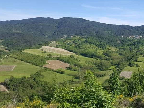 regala la caccia in Italia Alessandria Piemonte