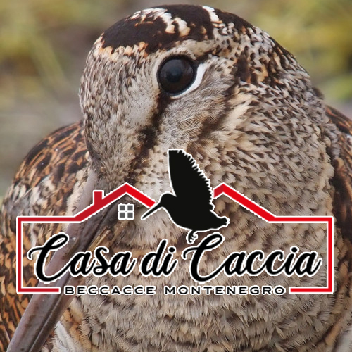 casa di caccia beccacce montenegro