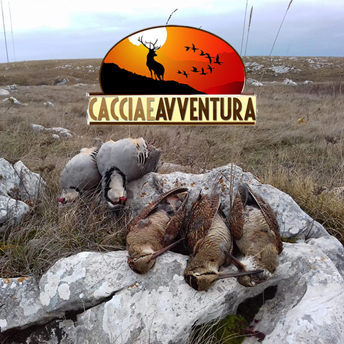 Caccia e Avventura allodola romania