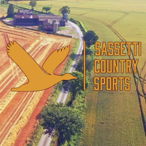 sassetti country sports viaggi di caccia tordi romania