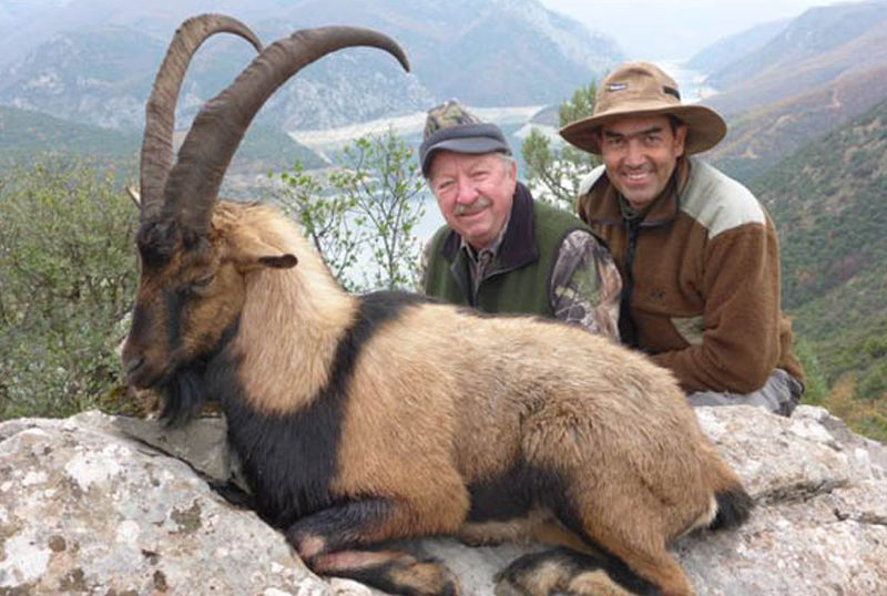 safari international russia caccia ibex