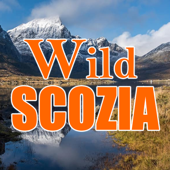 wild scozia caccia turismo venatorio estonia itinerari sentieri