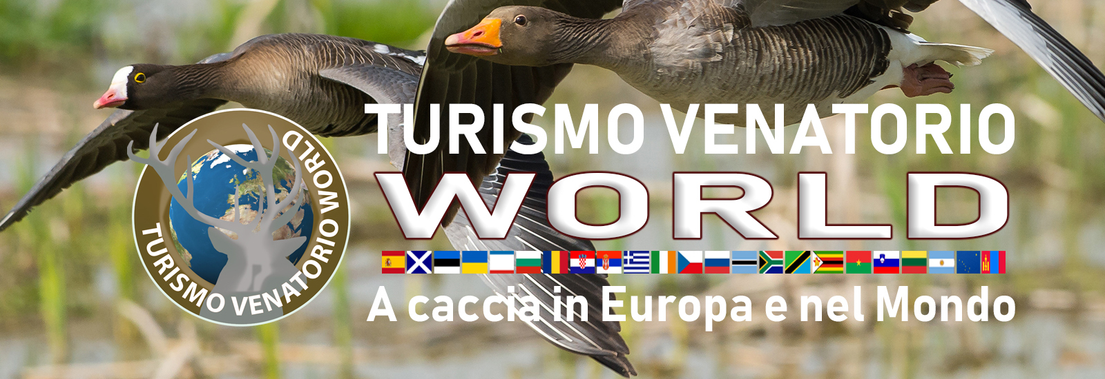 turismo venatorio world caccia in europa e nel mondo