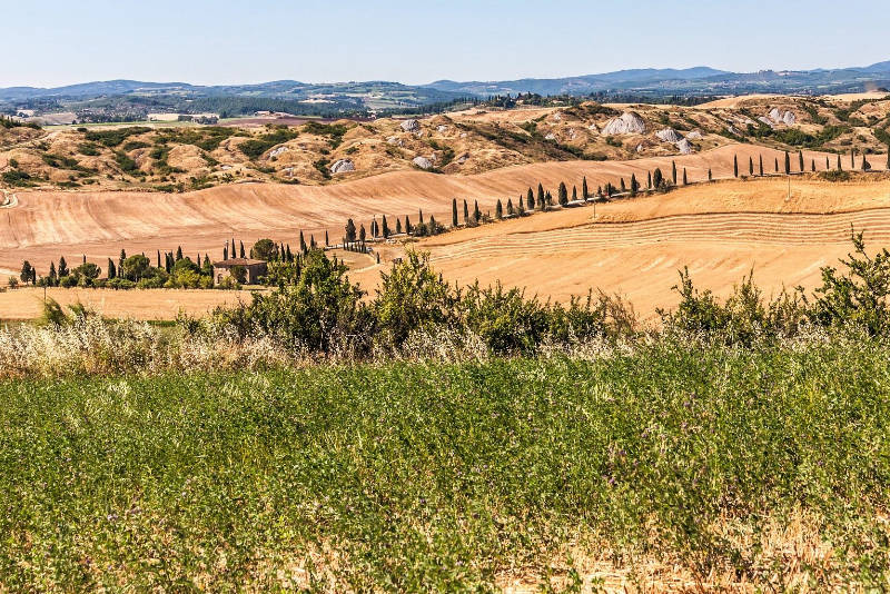 Riserva di caccia Armaiolo caccia stanziale in Toscana