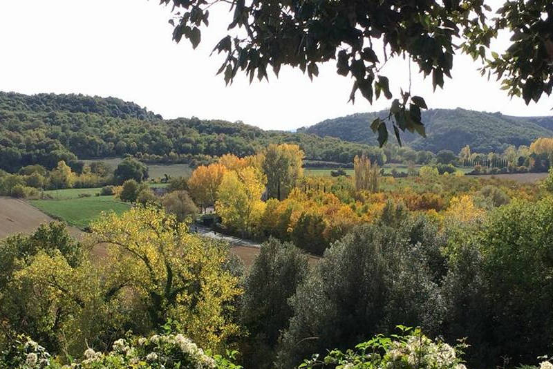 Riserva di caccia Armaiolo caccia stanziale in Toscana