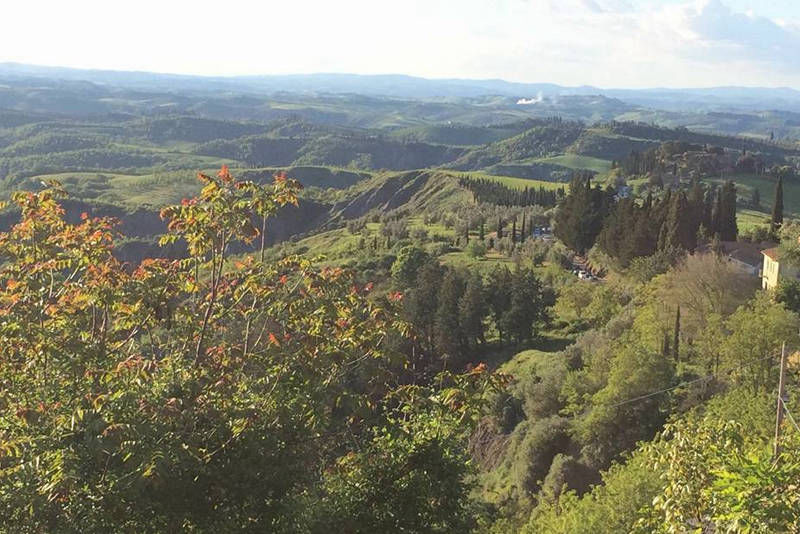 Riserva di caccia Armaiolo caccia stanziale in Toscana
