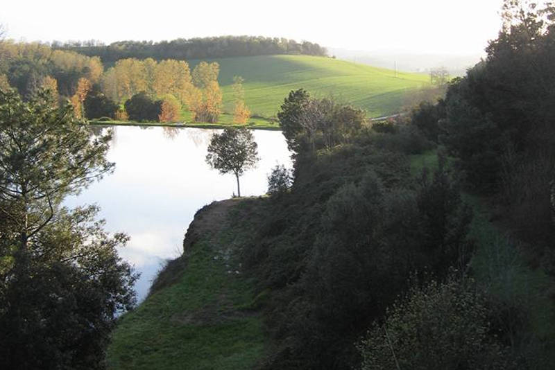 Riserva di caccia Armaiolo caccia stanziale in Toscana