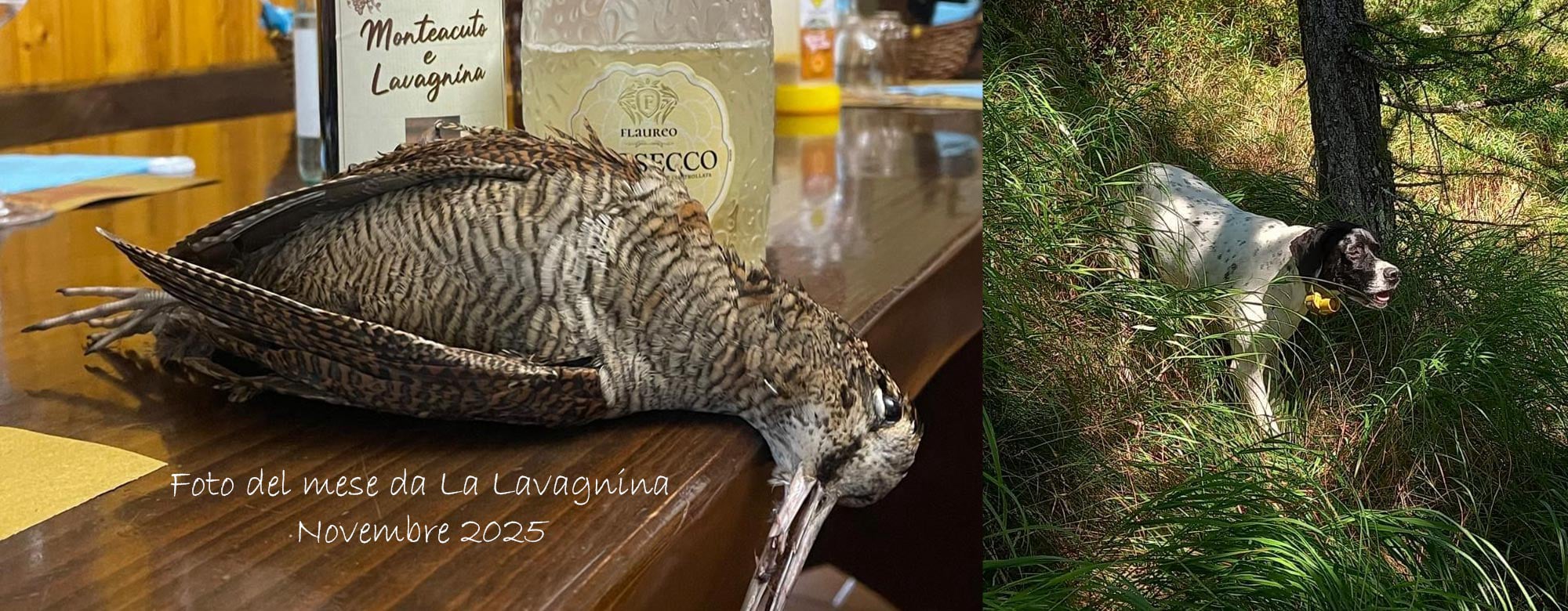 Riserva di caccia La Lavagnina