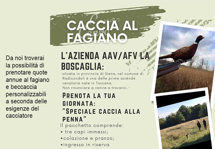 Boccaglia caccia in Toscana fagiano beccaccia