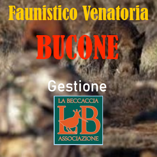 riserva di caccia Bucone Lazio turismo venatorio