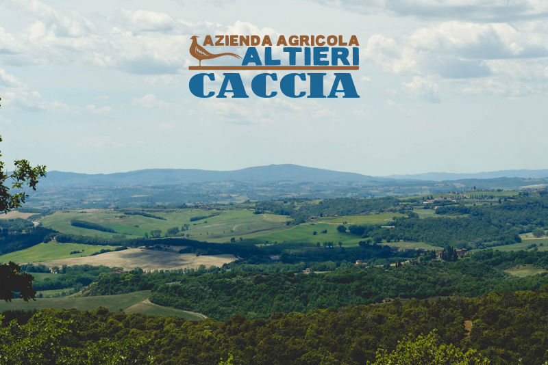 caccia in riserva italia armaiolo toscana