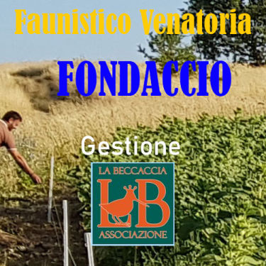 riserva di caccia fondaccio capriolo Lazio turismo venatorio