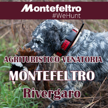 Riserva di caccia Montefeltro Rivergaro Emilia Romagna capriolo