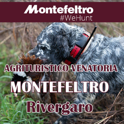 riserva di caccia cane da ferma Montefeltro Rivergaro Turismo Venatorio