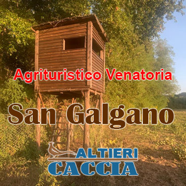 San Galgano Riserva di caccia al cinghiale toscana turismo venatorio toscana fagiano