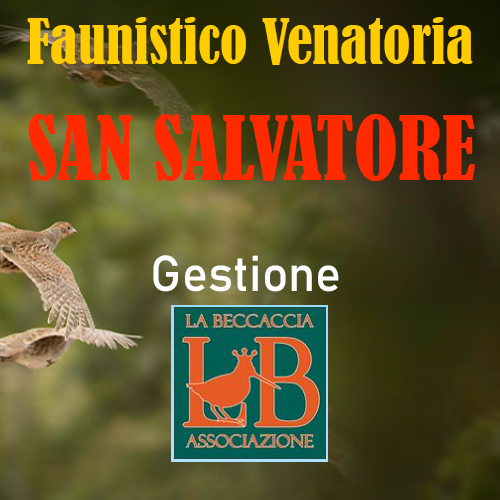 riserva di caccia cinghiale San Salvatore turismo venatorio