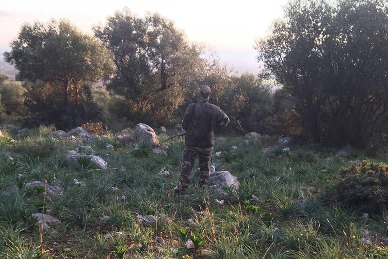 caccia in puglia ai tordi